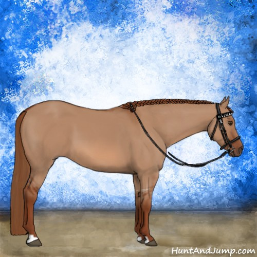 Horse Color:Red Dun