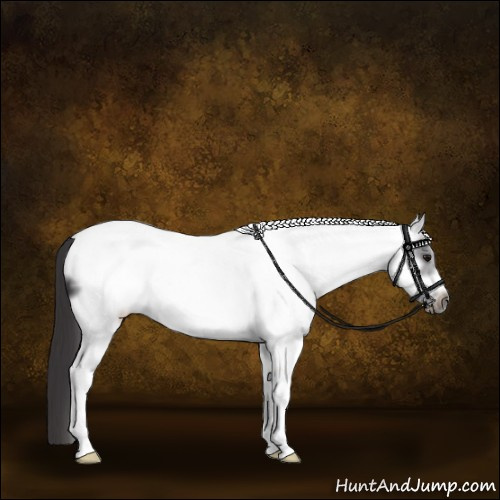 Horse Color:White Spotted Smoky Black Frame 