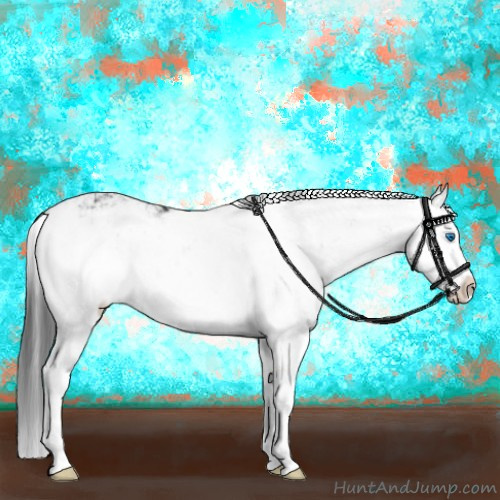 Horse Color:Black Sabino Splash