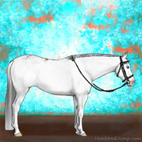 Horse Color:Black Sabino Splash 