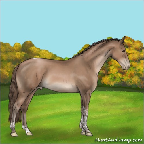 Horse Color:Black Pearl Tobiano 