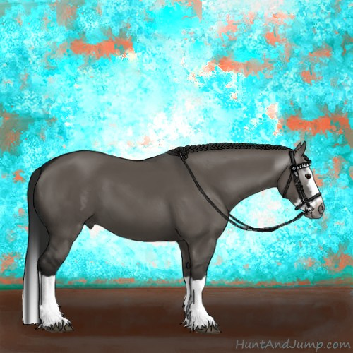 Horse Color:Gray Grullo Sabino Splash 