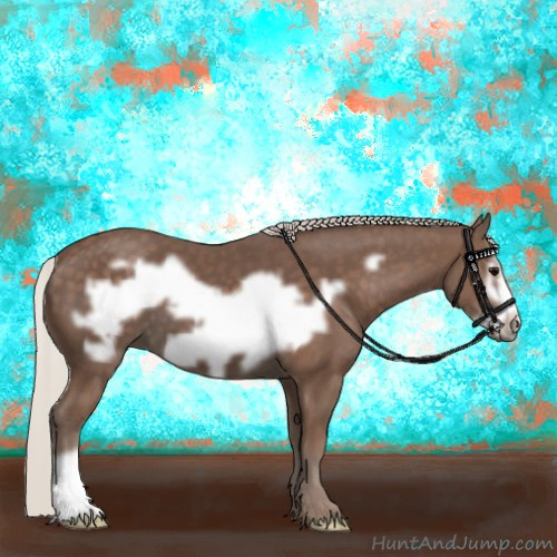 Horse Color:Silver Black Frame 