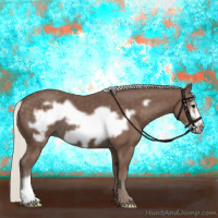 Horse Color:Silver Black Frame