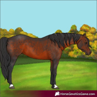 Horse Color:Brown 