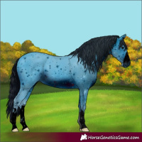 Horse Color:ERROR: UNKNOWN ANOMALY