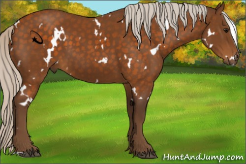 Horse Color:White Spotted Silver Buckskin 