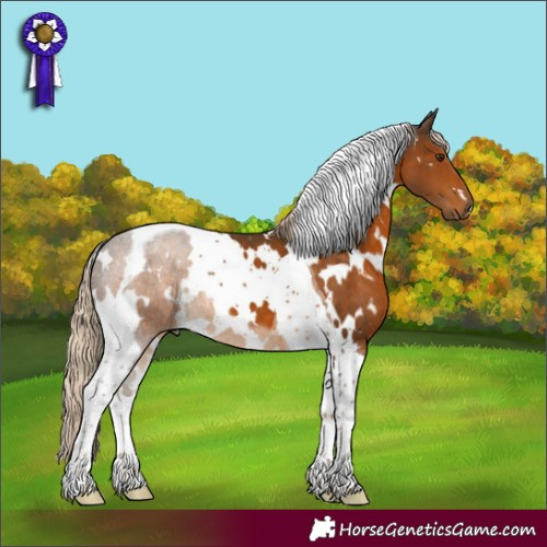 Horse Color:White Spotted Chocolate Palomino Tobiano 