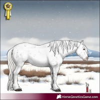 Horse Color:Silver Brown Sabino 