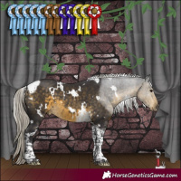 Horse Color:White Spotted Silver Buckskin Tobiano 