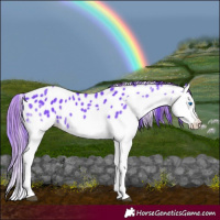 Horse Color:Watercolor Black Splash Tobiano Appaloosa 