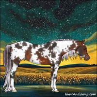Horse Color:Painted White Spotted Bay