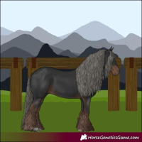 Horse Color:Liver Chestnut Mushroom