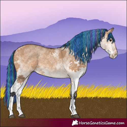Horse Color:Painted White Spotted Bay Dun Rabicano 