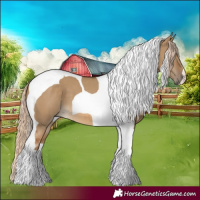 Horse Color:Chocolate Palomino Dun Tobiano 