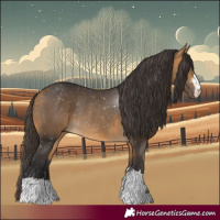Horse Color:Buckskin Rabicano