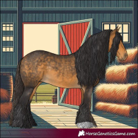Horse Color:Buckskin Rabicano 