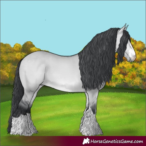 Horse Color:Bay Chinchilla Dun 