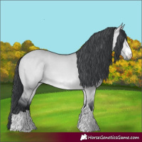 Horse Color:Bay Chinchilla Dun 