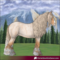 Horse Color:Red Roan Splash Rabicano 