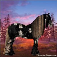 Horse Color:Void White Spotted Gold Champagne Dun 