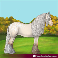 Horse Color:Silver Amber Champagne Dun Appaloosa 
