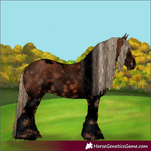 Horse Color:Void White Spotted Chestnut Tobiano
