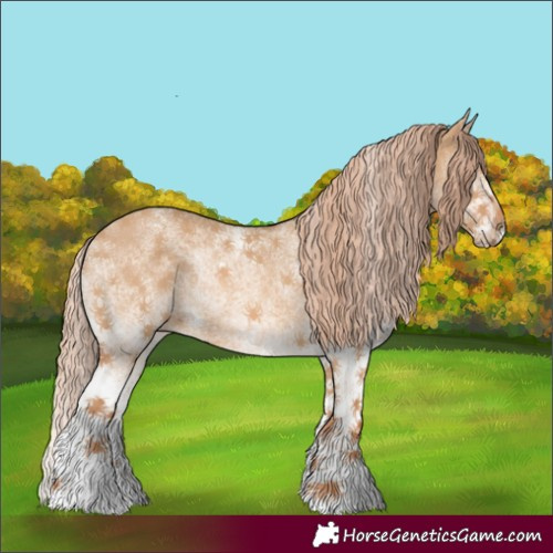 Horse Color:White Spotted Red Dun 