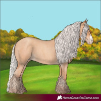 Horse Color:Silver Classic Champagne Roan