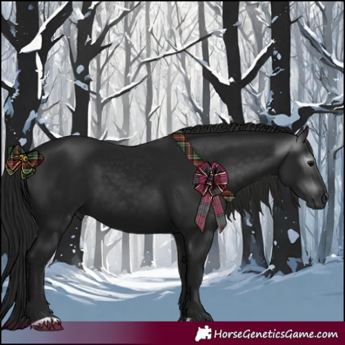 Horse Color:Gray Black 