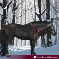 Horse Color:Gray Black 