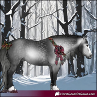 Horse Color:Gray Black 