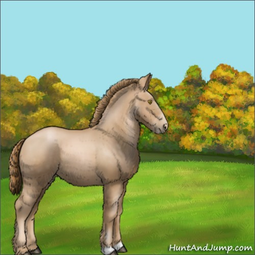Horse Color:Chestnut Pearl 