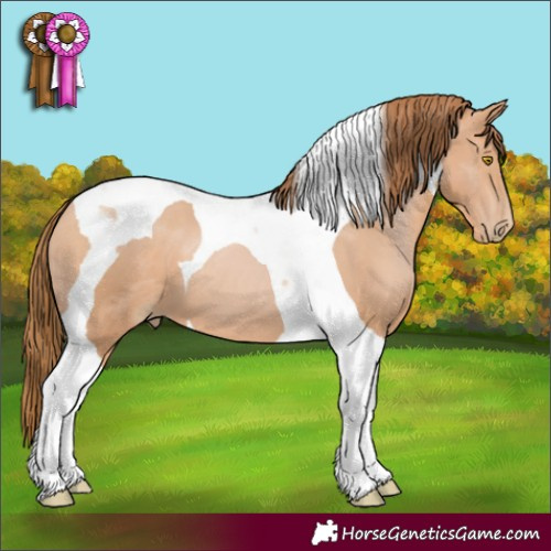 Horse Color:Bay Pearl Tobiano 