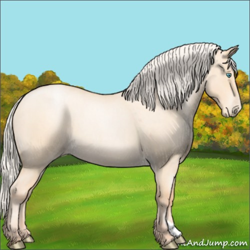 Horse Color:Silver Classic Champagne Roan Pearl Dun 