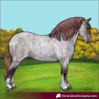 Horse Color:Blue Ice Roan Pearl Sabino 