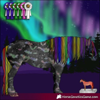 Horse Color:Void Painted Nacre Black Tobiano Frame 