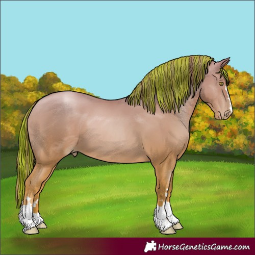 Horse Color:Painted Chestnut Pearl 