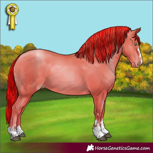 Horse Color:Painted Chestnut Pearl 