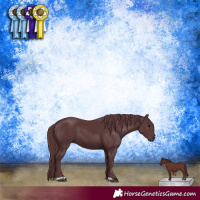 Horse Color:Chocolate Black
