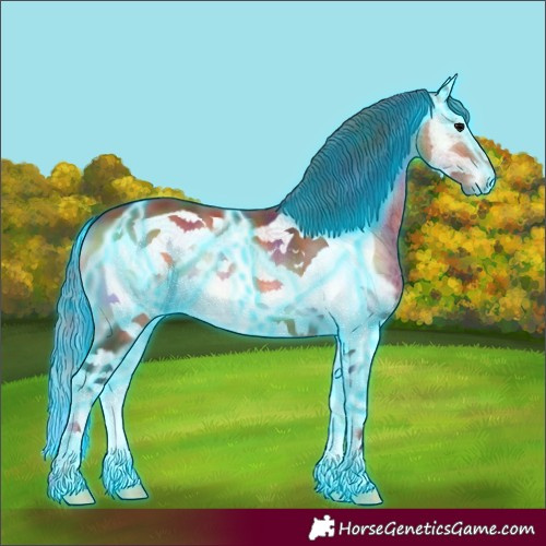 Horse Color:Nacre Thunderstruck Bay Onyx Splash Frame 