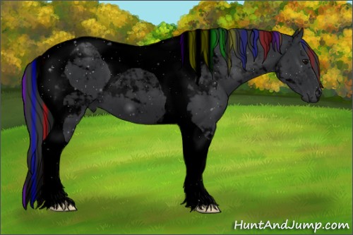 Horse Color:Void Painted Black Tobiano 