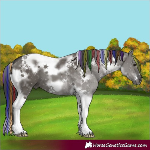 Horse Color:Painted White Spotted Grullo Tobiano Frame 