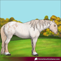 Horse Color:Red Roan Varnish 