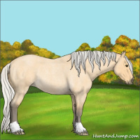 Horse Color:Silver Buckskin Roan Rabicano 