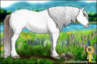 Horse Color:Brown Roan Appaloosa