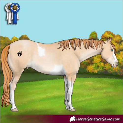 Horse Color:Buckskin Pearl Tobiano 