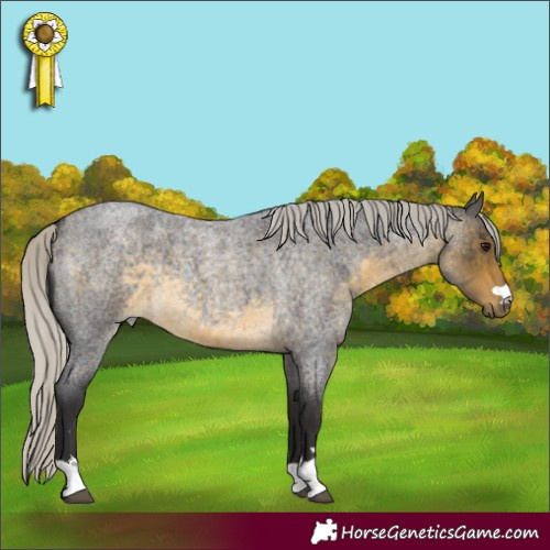 Horse Color:Silver Buckskin Roan 