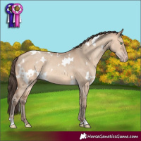 Horse Color:White Spotted Amber Champagne Dun Rabicano 