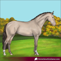 Horse Color:Amber Champagne Dun